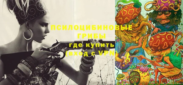 молекула духа Абинск