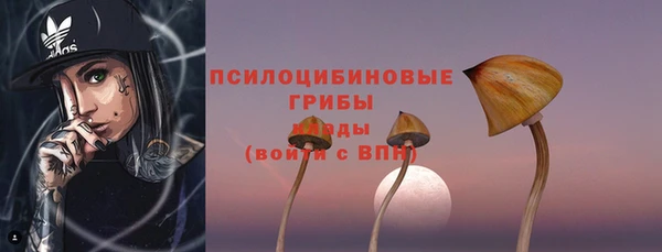 молекула духа Нягань