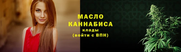 молекула духа Нягань