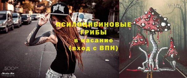 молекула духа Абинск