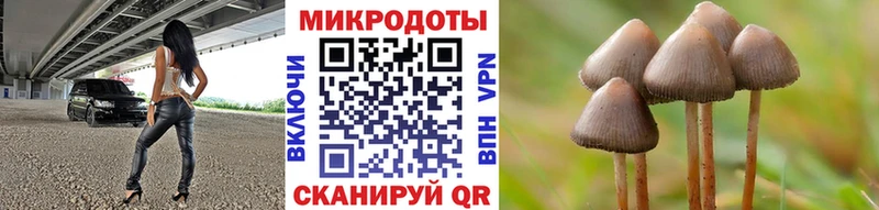 Галлюциногенные грибы мухоморы  Нахабино 